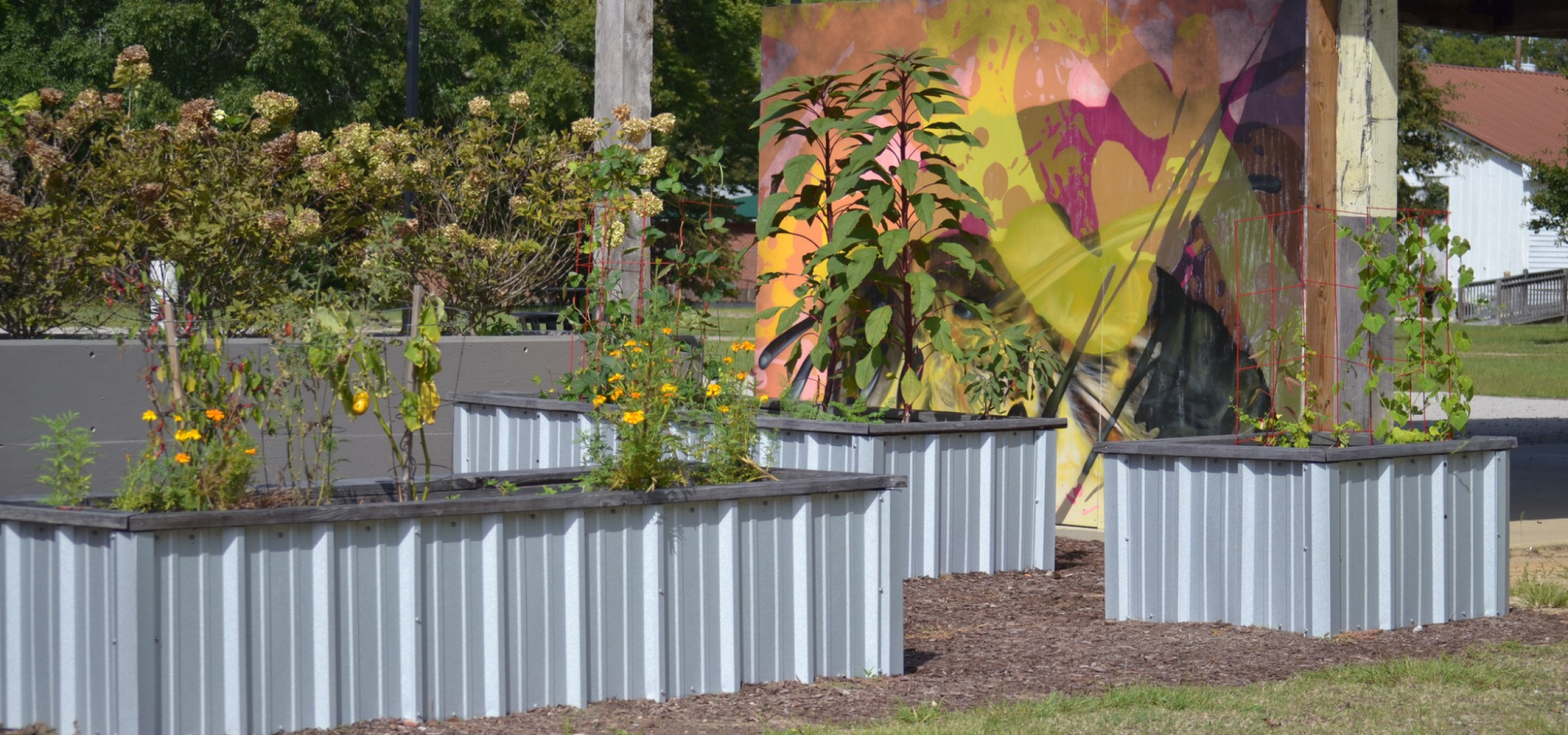Cultural Garden