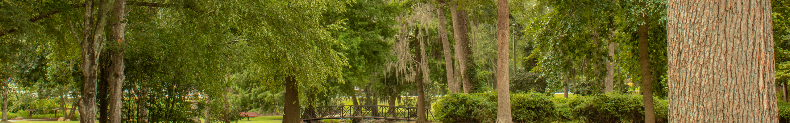 Timrod Park
