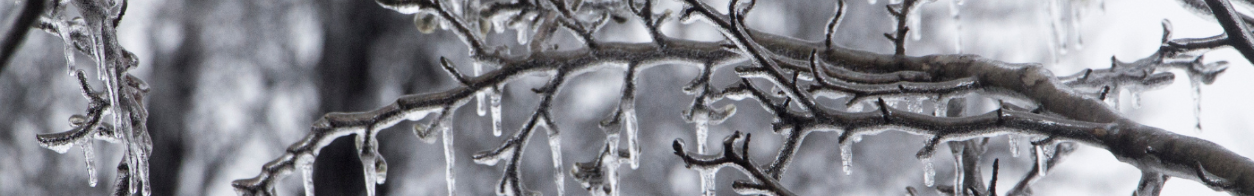 Ice Storm