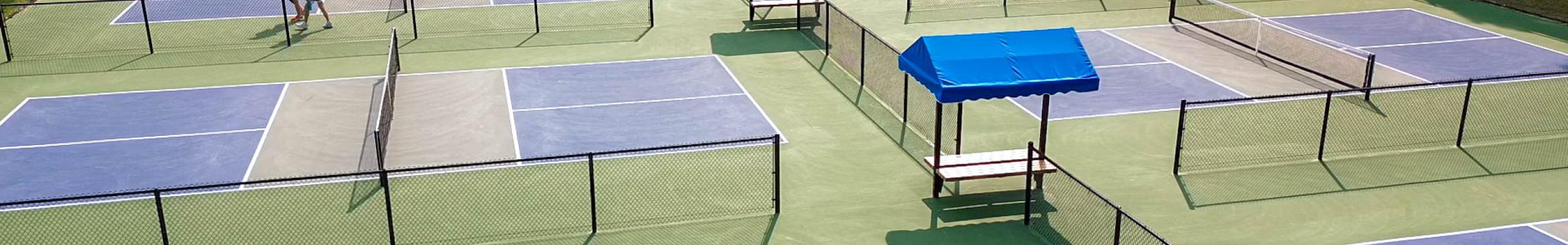 Timrod Park Pickleball