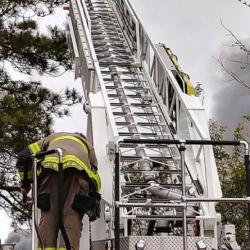 ladder