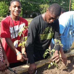people gardening