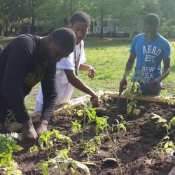 people gardening