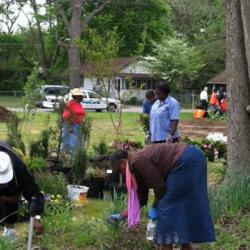 people gardening