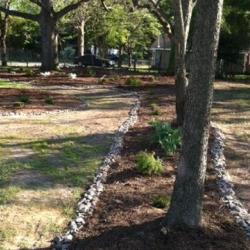tree garden