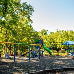 Timrod Park