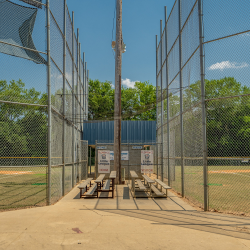 McLeod Park Baseball