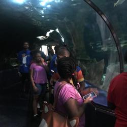 aquarium visit