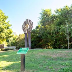 9/11 Monument and Survivor Tree