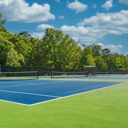 Timrod Park Tennis Courts
