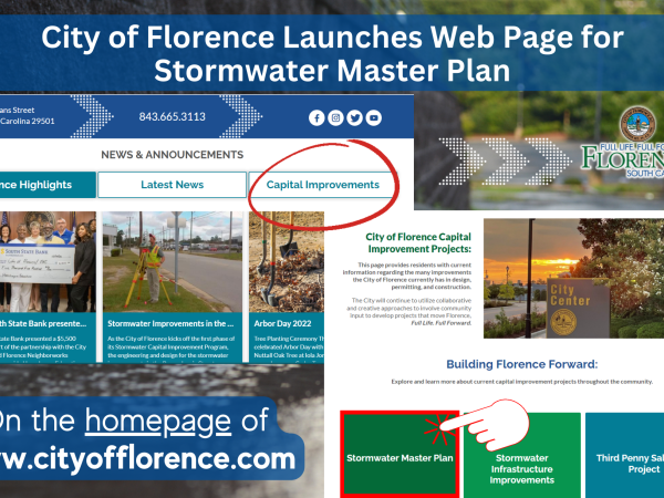 New Web Page