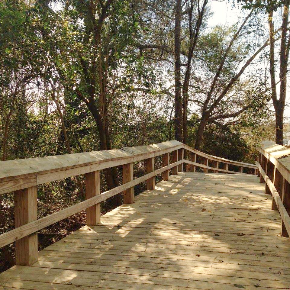 The Bridge