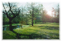 Park