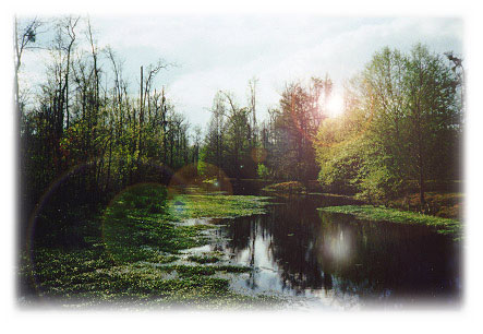 Jeffries Creek Park