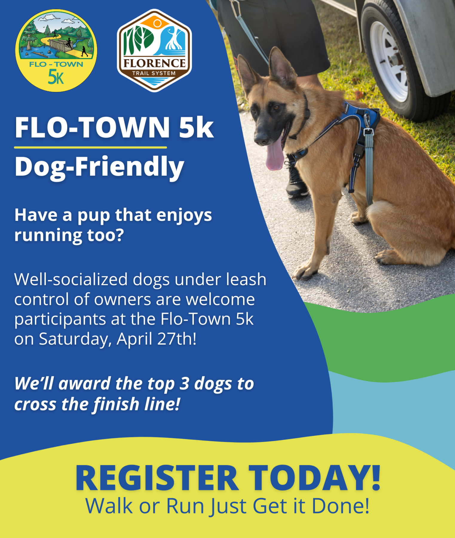Dog Friendly Flyer