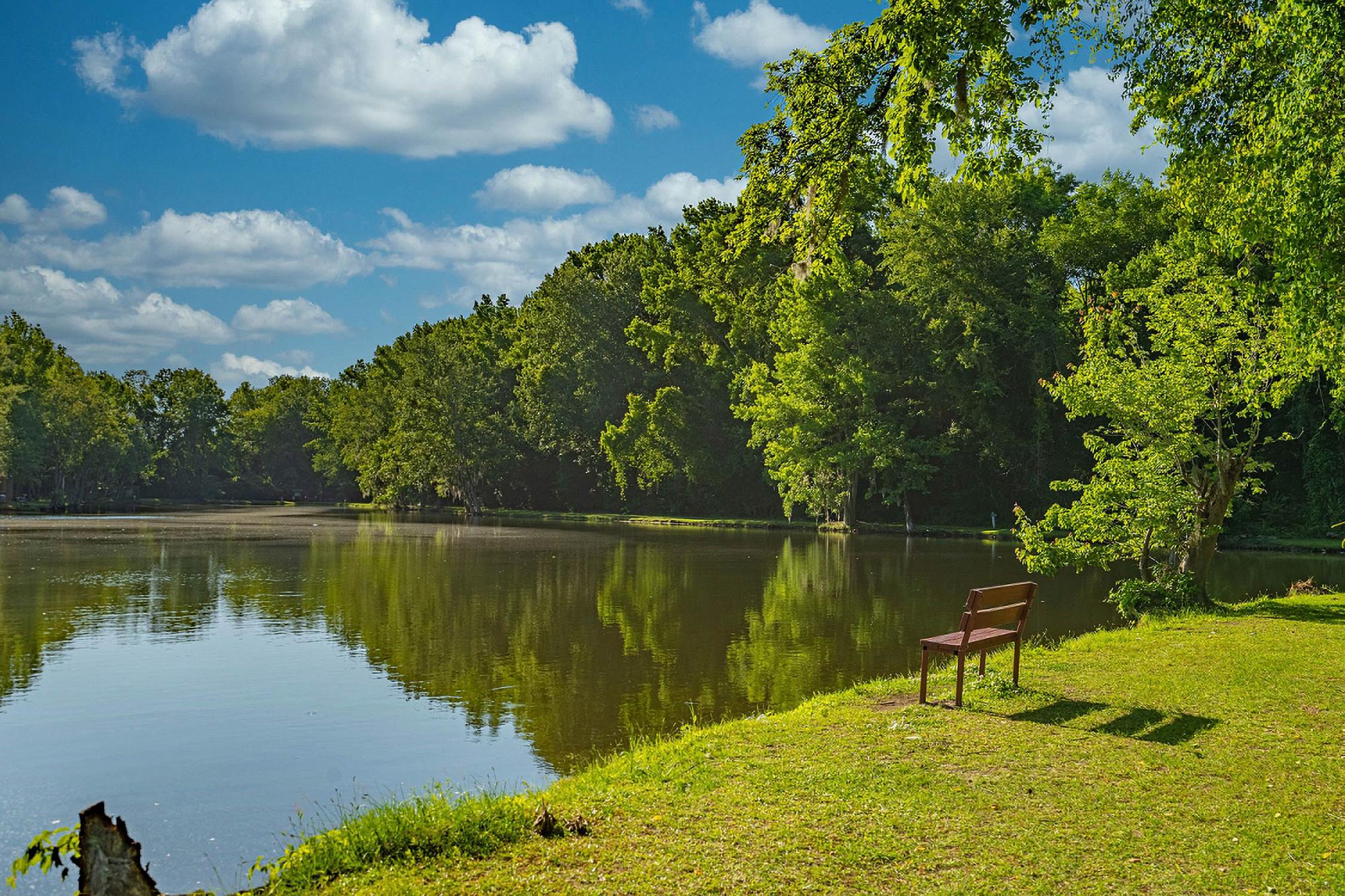Freedom Florence Pond