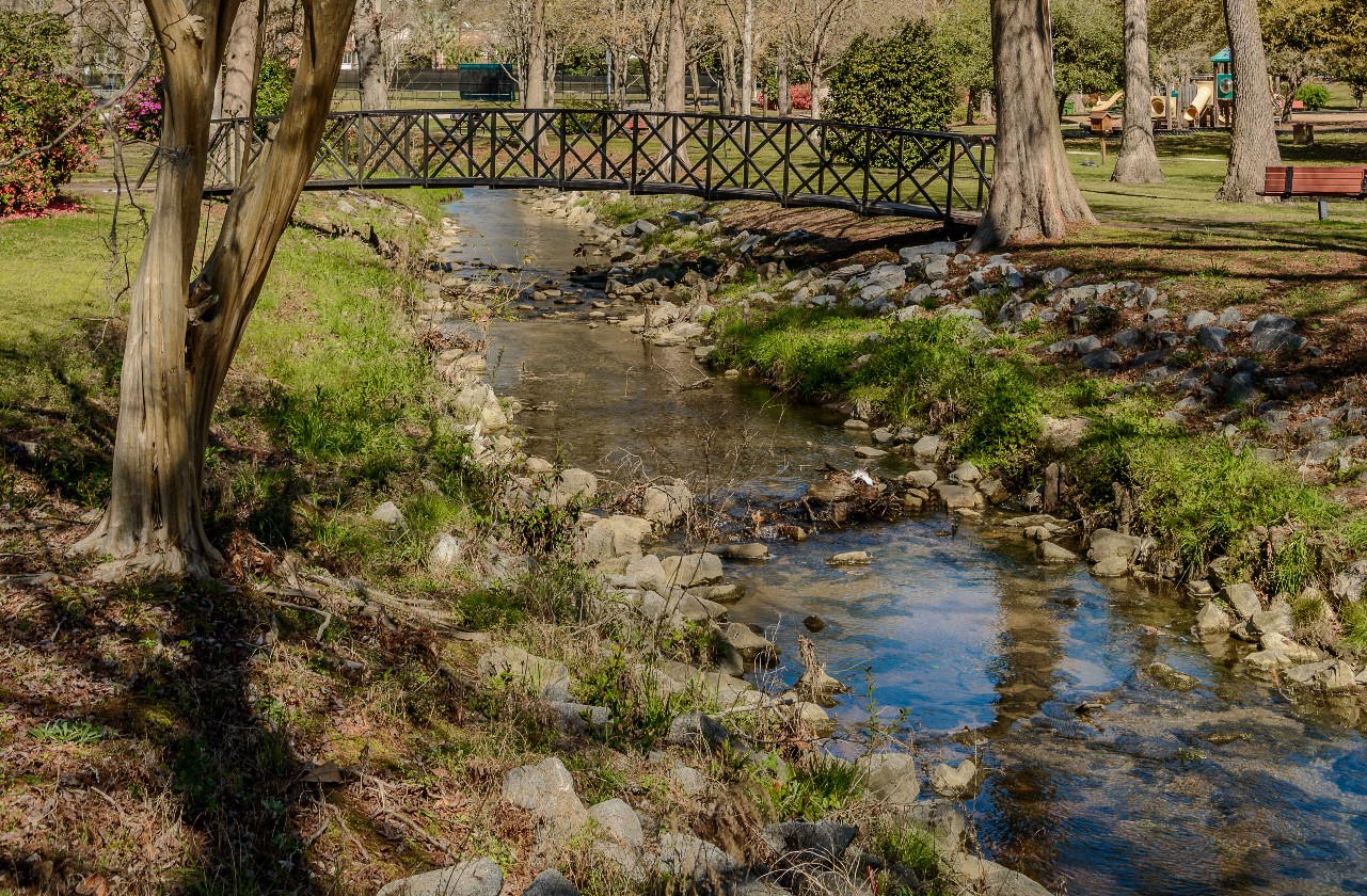 Bridge