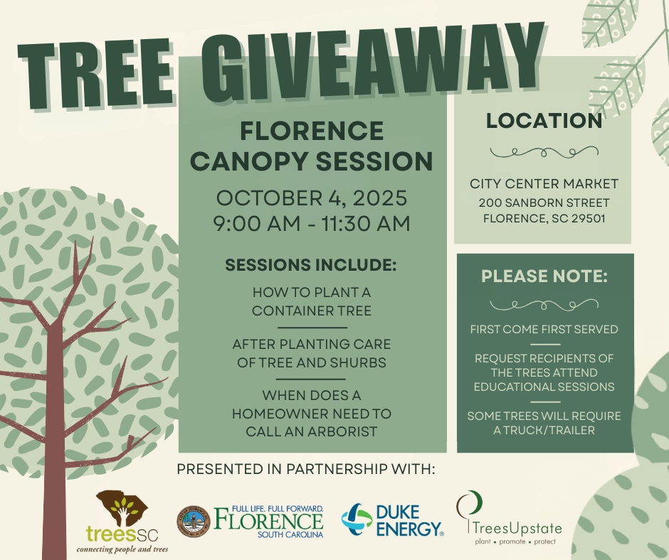 Tree Giveaway